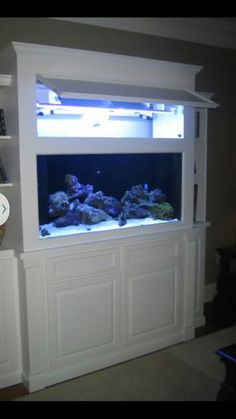 an aquarium is built into the side of a bookcase