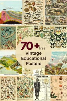 an image of vintage educational posters with the words 70 + free vintage educational posters on it