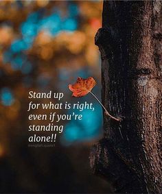 Fall Time Quotes, If A Tree Falls In The Forest Quote, Stay Positive Quotes, Life Thoughts, Good Morning Inspirational Quotes, Quotes By Emotions, Fall Time, Time Quotes, Stay Positive