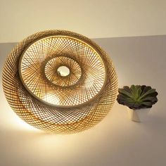 a small potted plant sitting next to a decorative light fixture on a white surface