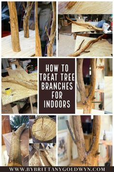 how to treat tree branches for indoors