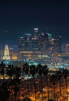 the city skyline is lit up at night, with palm trees in front of it