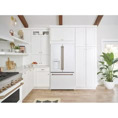 a kitchen with white cabinets and wood flooring has a large potted plant on the counter