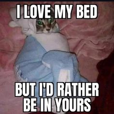 a cat laying on top of a bed covered in blue blankets and pillows with the caption, i love my bed but i'd rather be in yours