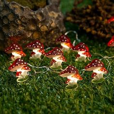 small red and white mushrooms on green grass