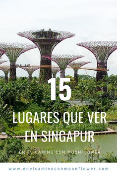 the gardens in singapore with text overlay that reads 15 lugares, que ver en - singapur