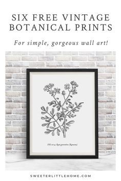 the six free vintage botanical prints for simple, gorgeous wall art