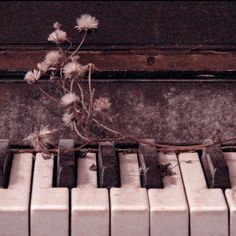 an old piano with weeds growing out of it's top and the keys missing