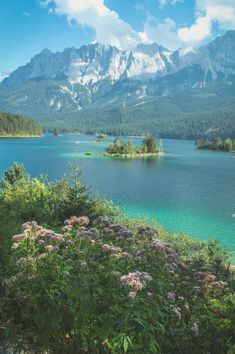 a lake surrounded by mountains and flowers in the foreground with blue skies above it