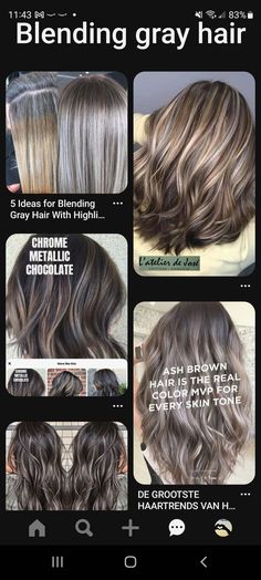 Grey Hair Coverage Highlights, Mushroom Hair Colour With Highlights, Brown Going Grey Hair, Brown Hair Transition To Gray, Blending Brunette And Gray, Color To Blend Gray Hair Dark Brown, Dark Hair Grey Coverage Ideas, Warm Gray Hair Color, How To Get Mushroom Brown Hair Color