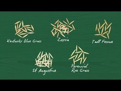 four different types of brush lettering on a green background