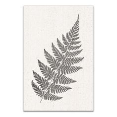 a black and white fern leaf print on a white canvas with the words,'leaves are