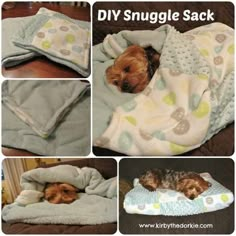 there is a collage of pictures showing how to make a dog snuggle sack