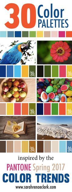 an advertisement for pantone's spring 2017 color trend is shown in this image