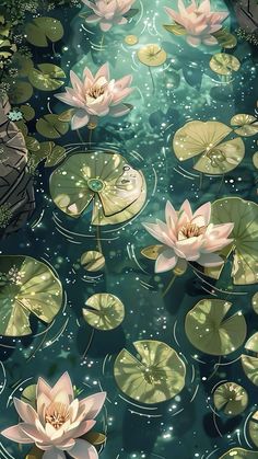 water lilies floating on top of green leaves