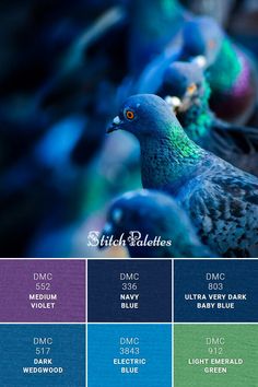 there are many different colors of birds in the picture and one is blue, green, purple, and black