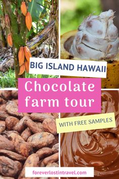 chocolate farm tour with free samples from the big island hawaii food and travel guide