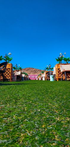 there are many chairs in the grass near each other on this sunny day with blue skies above