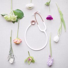 various flowers arranged in the shape of a doctor's stethoscope on a white surface