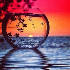 a fish bowl filled with water sitting on top of a table next to the ocean