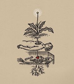 a drawing of a plant on top of a box with two hands holding a flower