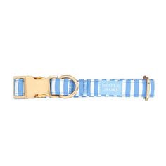 a blue and white striped dog collar with a gold metal buckle on it's side