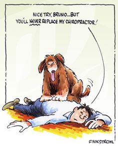 Nice try, Bruno... 🐶 But you'll never replace my #chiropractor! 👨‍⚕  #cartoon #GetAdjusted #chiropractic