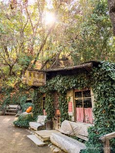 an old building covered in vines and ivy next to a forest filled with lots of trees