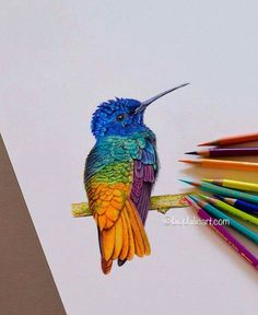 a colorful bird sits on a branch with colored pencils