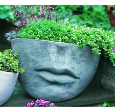 two cement planters with plants in them on a wooden table next to each other