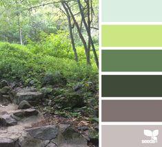 the color scheme is green and gray, with some rocks on each side of the path