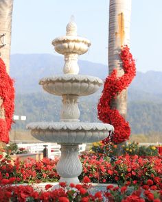 a white fountain surrounded by red flowers and palm trees