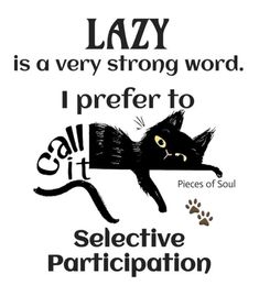 a black cat with the caption lazy is a very strong word i prefer to selective particition