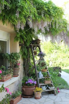 an outdoor area with potted plants and flowers on the steps leading up to a house