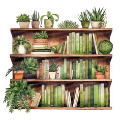 a book shelf filled with lots of books and potted plants on top of it