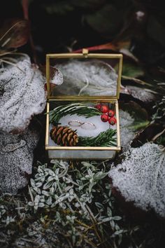 an open box with a ring on it sitting in the snow next to some plants