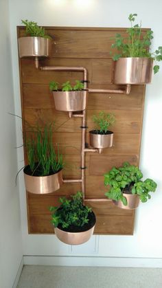 a wall mounted planter filled with lots of green plants