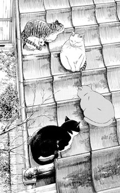 black and white drawing of cats on stairs looking at another cat sitting in the distance