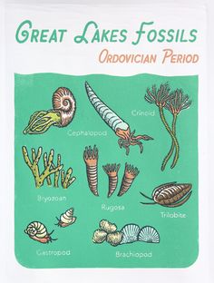 an image of the great lakes fosss ordvdian period poster with sea life