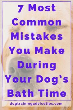 a dog with the words 7 most common mistakes you make during your dog's bath time