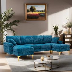 a living room scene with focus on the blue couch