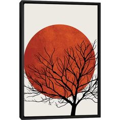 a tree with no leaves in front of an orange sun