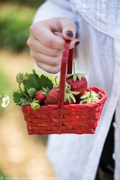 a person holding a basket with strawberries in it