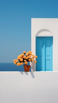 an orange flower in a pot on the side of a building with a blue door