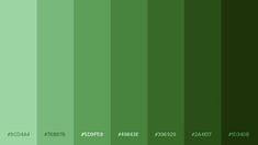 a green color scheme with different shades