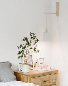 a bedroom with a bed, nightstand and potted plant on the dresser next to it