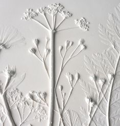 some white flowers and leaves on a table