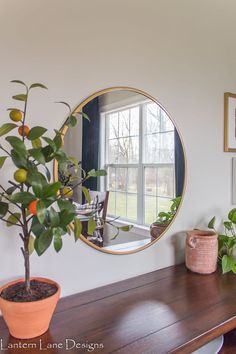 a potted plant sitting on top of a wooden table in front of a mirror