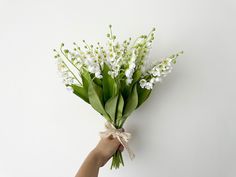 a hand holding a bouquet of flowers on a white background with the stems still attached