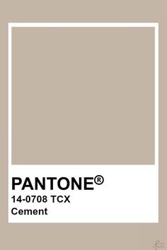 pantone's paint color swat list for the new york city cement, featuring tan tones